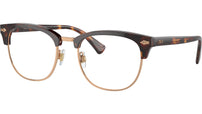 PH2277 6137 Brown Tortoise
