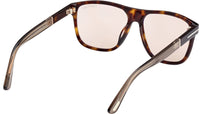 Frances FT1081 52E Havana Beige Brown