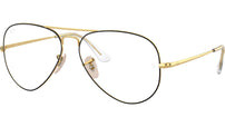 Aviator Optics RB6489 2890