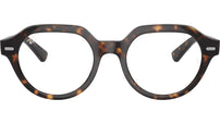 Gina Optics RB7214 2012