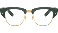 RB7316V Optics 8062