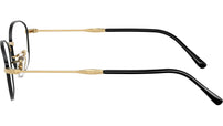 RB3749V Optics 3175