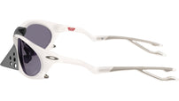 Plantaris OO9437 06