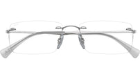 RB8755 Optics 1002