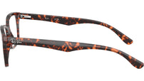 RB5228 Optics 8423