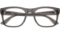 RB7228 Optics 8257
