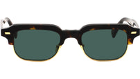 RAY Tortoise