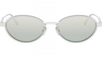DiorCannage R1U Silver Oval Sunglasses