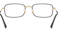 RB3746V Optics 3175