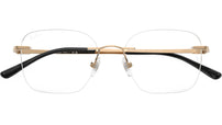 RB8783D Optics 1248