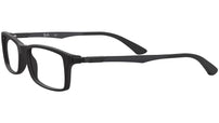 RB7017 Optics 5196