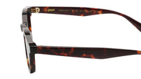 ANIMA Classic Havana