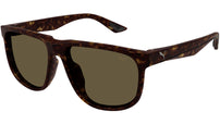 PU0441S 002 Dark Havana Brown