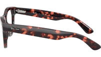 RB5510 Optics 8118