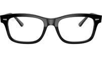 Mr Burbank Optics RB5383 2000