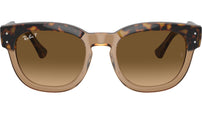 Mega Hawkeye RB0298S 1292M2 Havana Brown