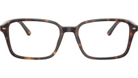 Raimond Optics RB5431 2012