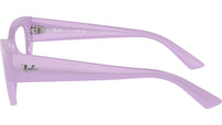 RB7330 Optics 8346