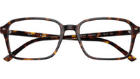 Raimond Optics RB5431 2012