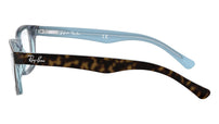 RY1531 3701 Tortoise