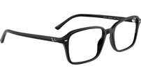 Raimond Optics RB5431 2000