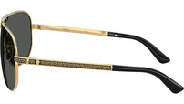 VE2293 100287