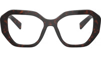 PR A07V 16N1O1 Tortoise