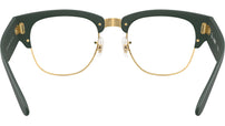 RB7316V Optics 8062