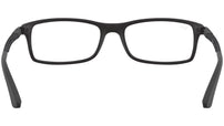 RB7017 Optics 5196