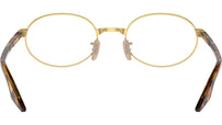 RB6481V Optics 2500