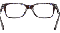 RB5228 Optics 8424