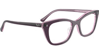RB5433 Optics 8364