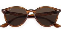 RB4305 820/73 striped red havana