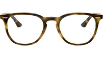 RB7159 Optics 2012