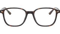 Leonard Optics RB5393 2012