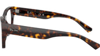 RB5448 Optics 2012